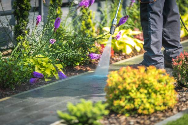 Best Dumpster Area Cleaning  in Fern Prairie, WA